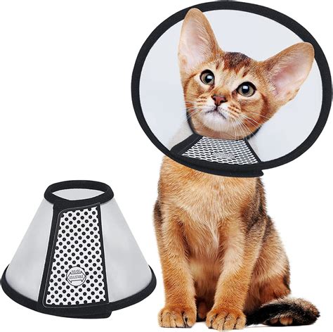 cat cone collar